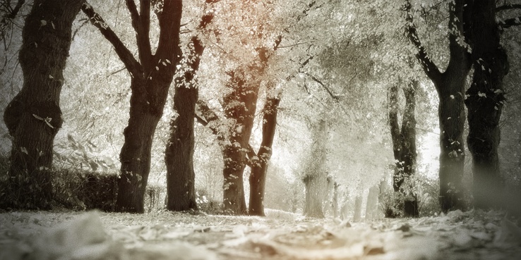 Otoño