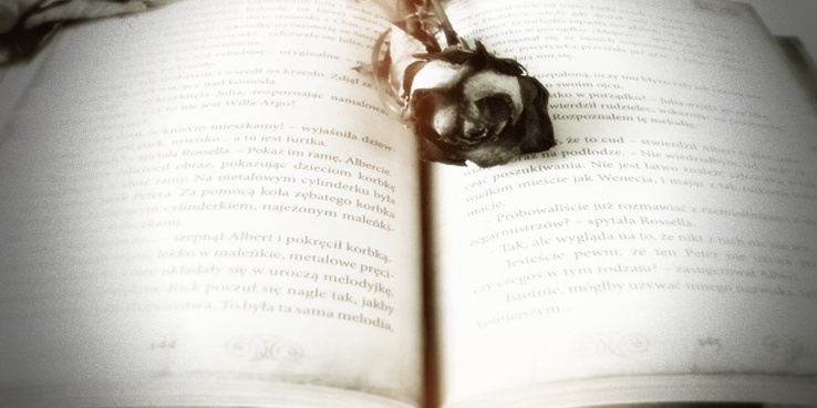 Rosa sobre un libro